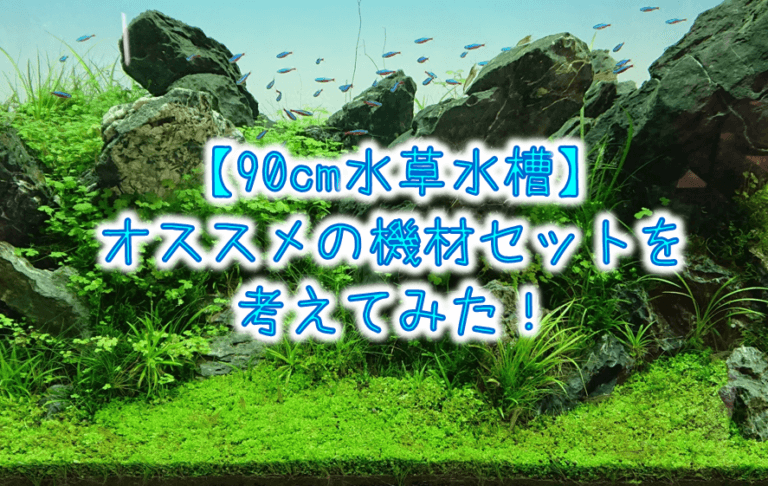 水草水槽セット 引き取り限定 - ペット用品