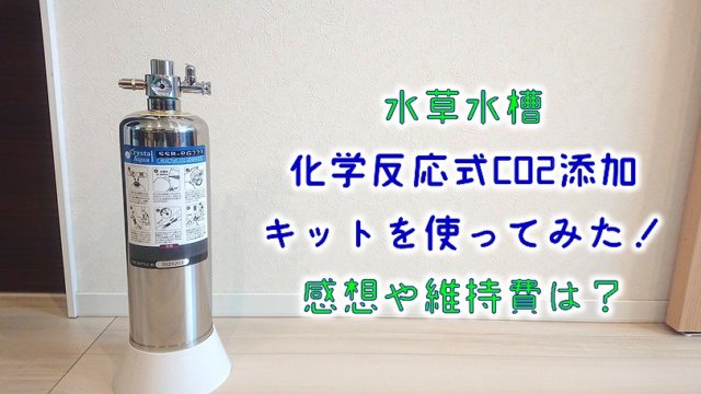 UNISEX S/M 化学反応式CO2ジェネレーター - 通販 - www.stekautomotive.com