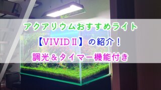 アクアリウムおすすめライト【VIVIDⅡ】の紹介！調光＆タイマー機能付き